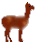 llama